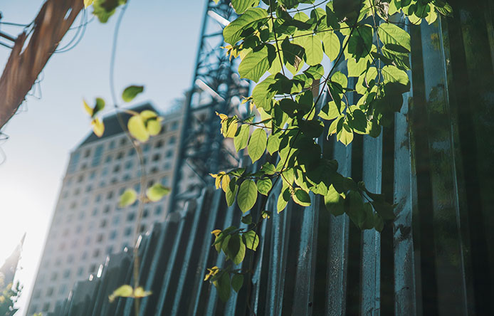 可持续发展的理念 可持续发展的理念